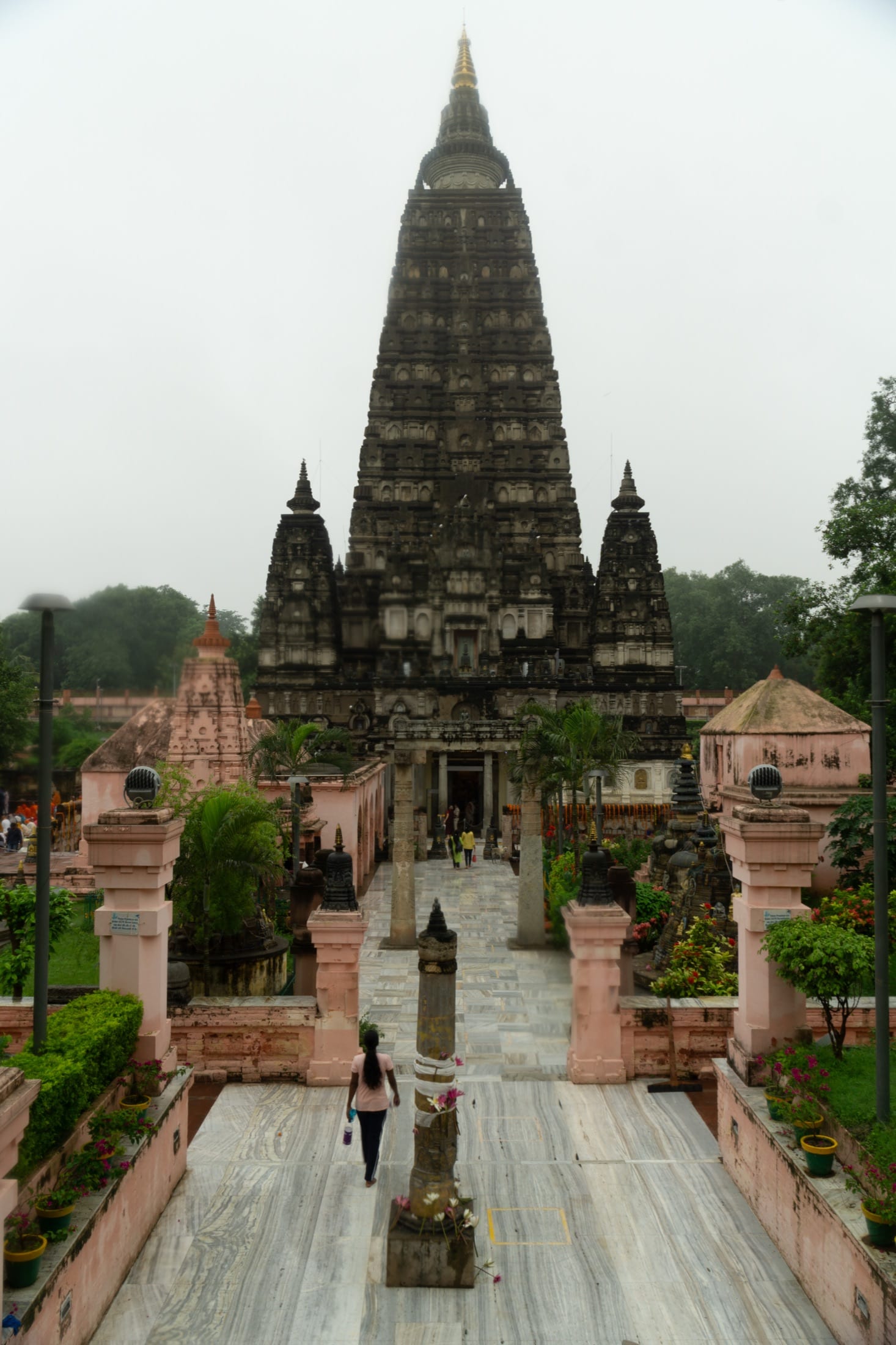 Following Buddha: Enlightenment, Learning & Legacy